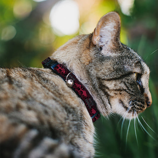 Close up of Targaryen dragon sigil on red and black cat collar