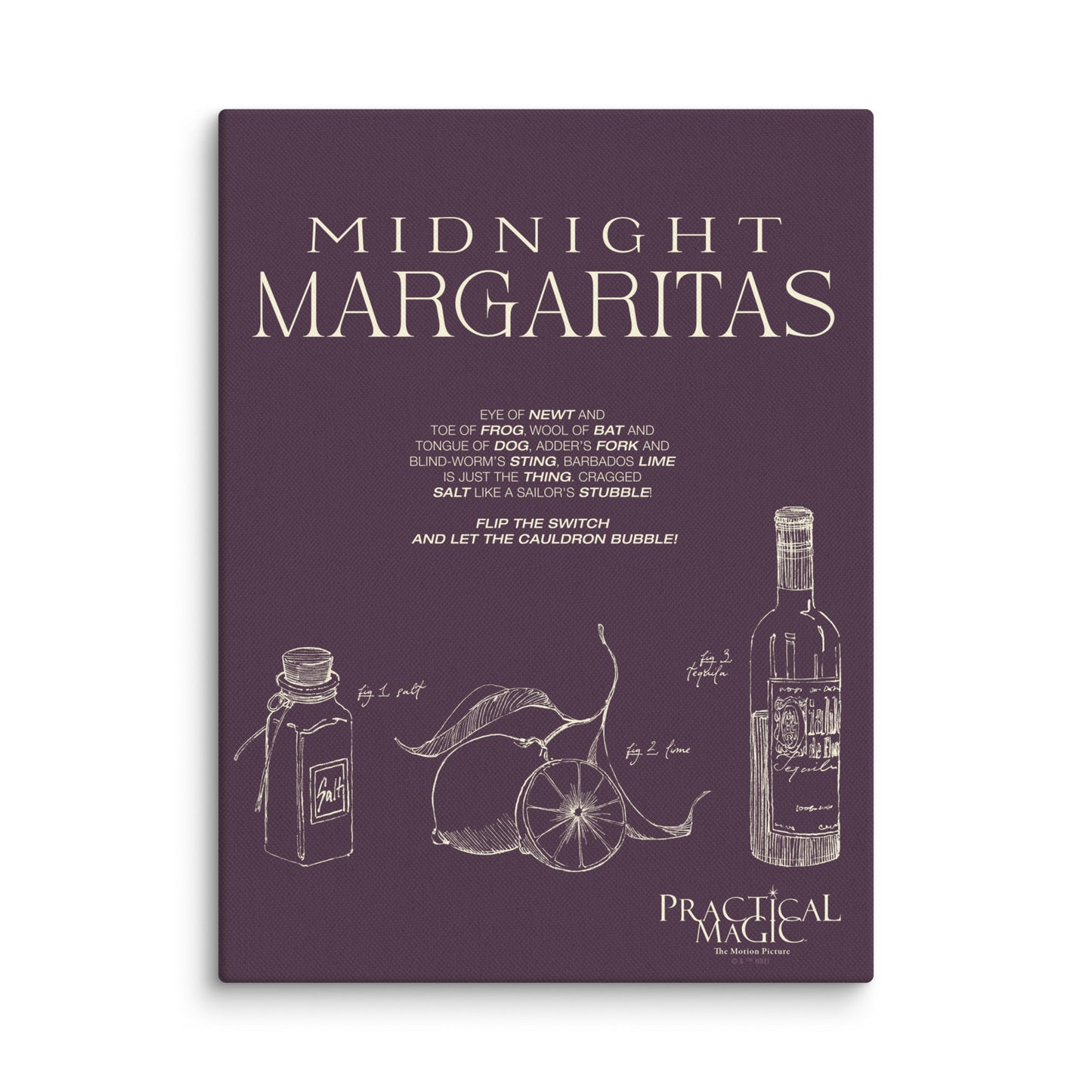Practical Magic Canvas Midnight Margaritas