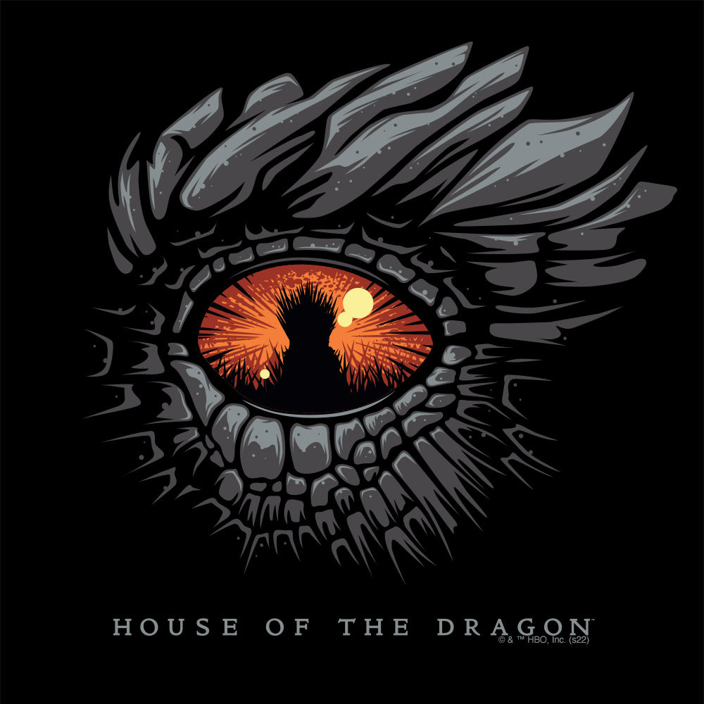 House of the Dragon Eye Raglan Shirt