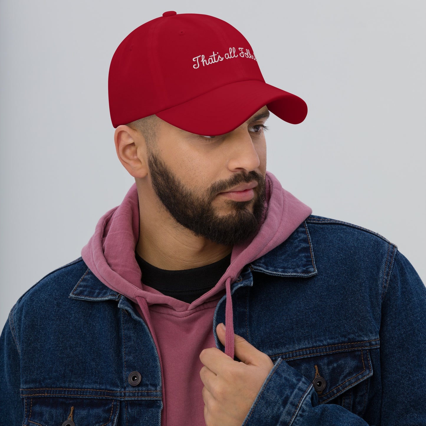 Looney Tunes That's All Folks! Embroidered Dad Hat