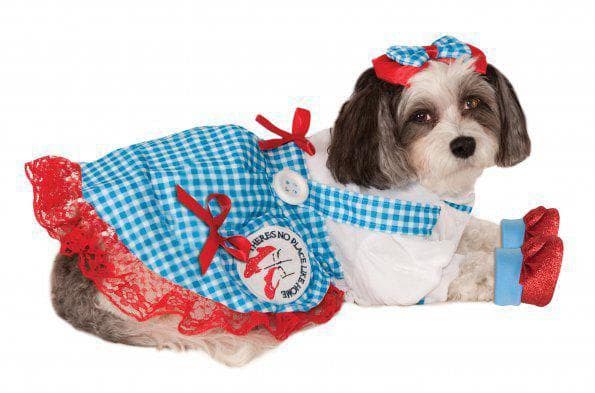 The Wizard of Oz Doggie Dorothy Pet Costume