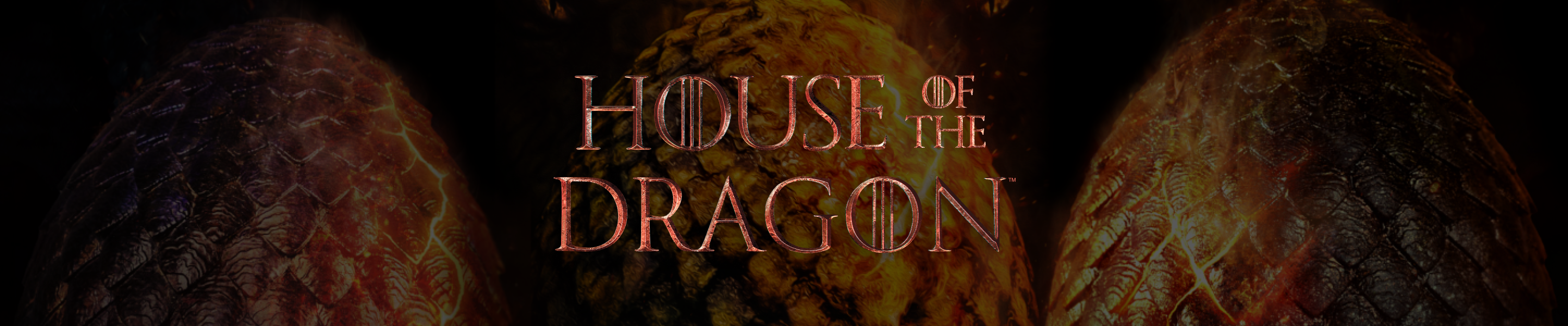 House of the Dragons Funko Pops!