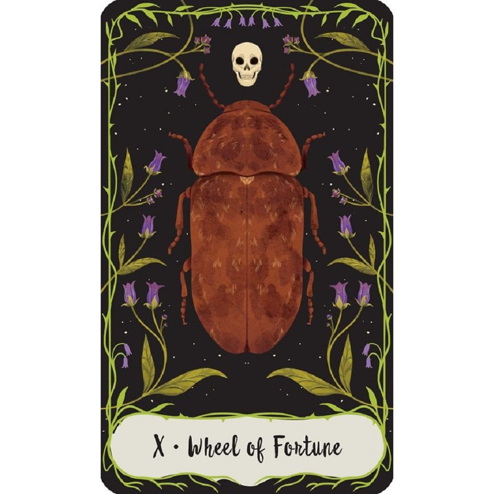 Practical Magic: The Motion Picture: The Official Tarot Deck and Guidebook-3