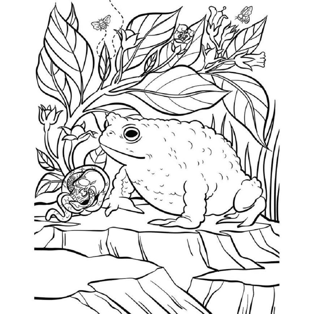Practical Magic: The Motion Picture: The Official Coloring Book-3