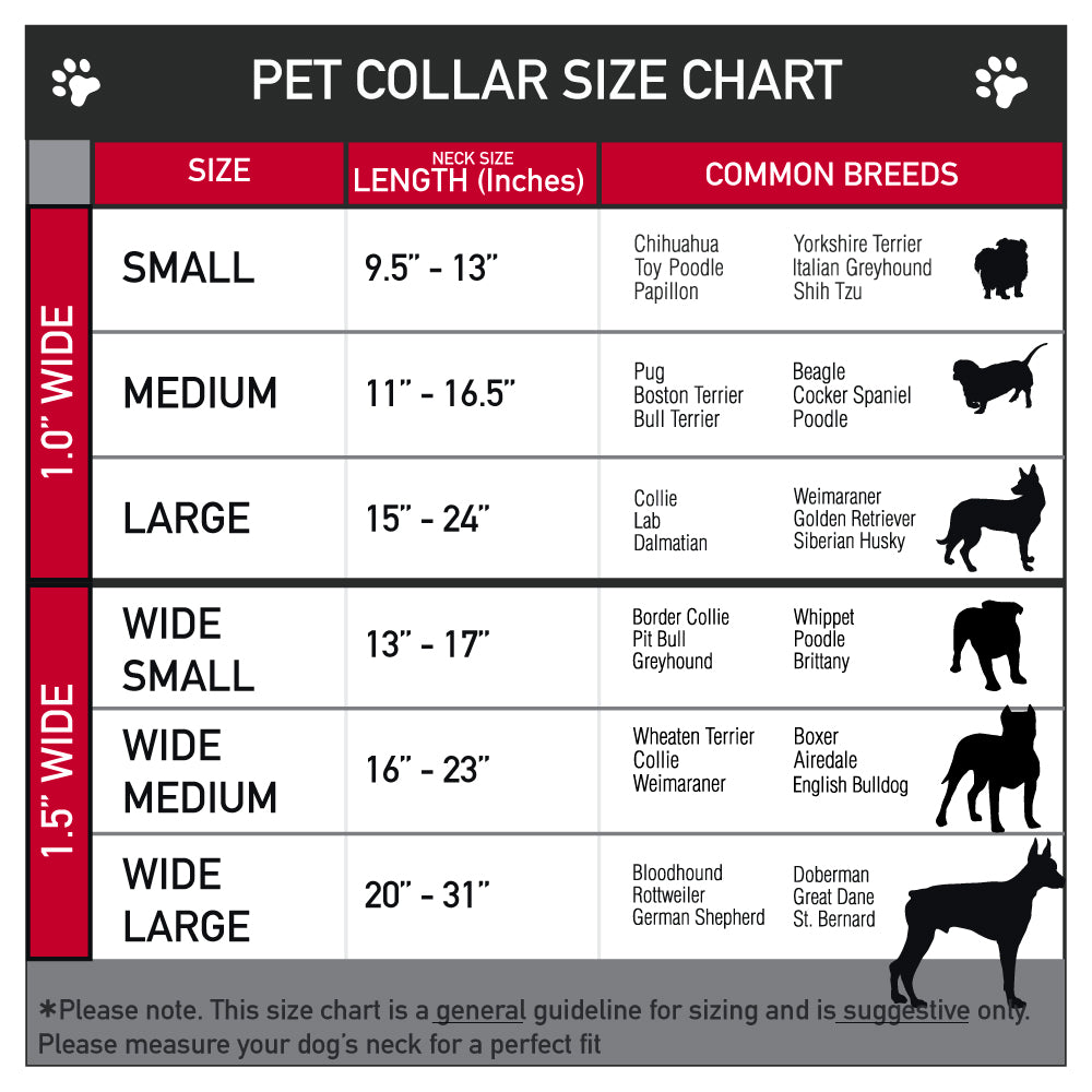 The collar adjusted to its largest size showcasing the full artwork