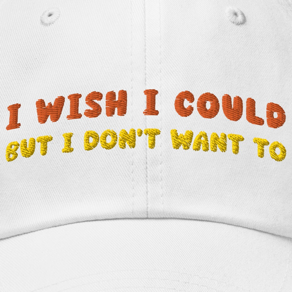 Friends I Wish I Could Embroidered Dad Hat