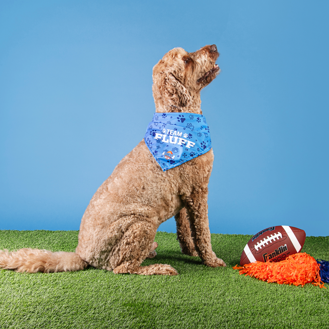 Puppy bowl deals bandana