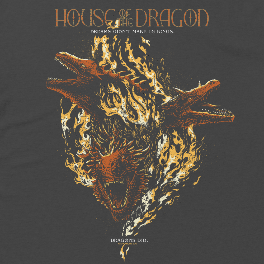 House of the Dragon Dreams Didn't Make Us Kings Oversized Faded T-shirt