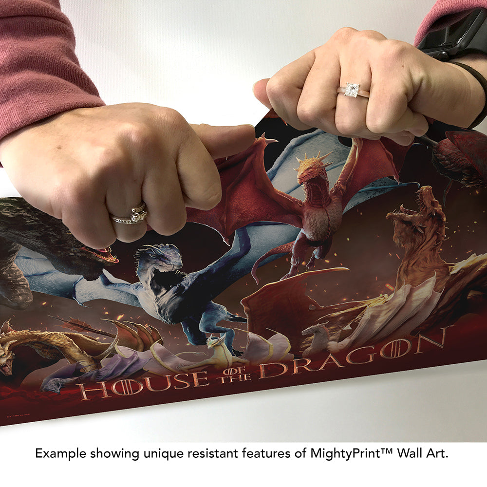 House of the Dragon: Dragons MightyPrint™ Wall Art