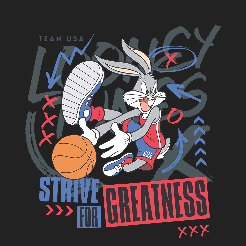 Looney Tunes x Team USA Strive for Greatness Hoodie – Warner Bros. Shop