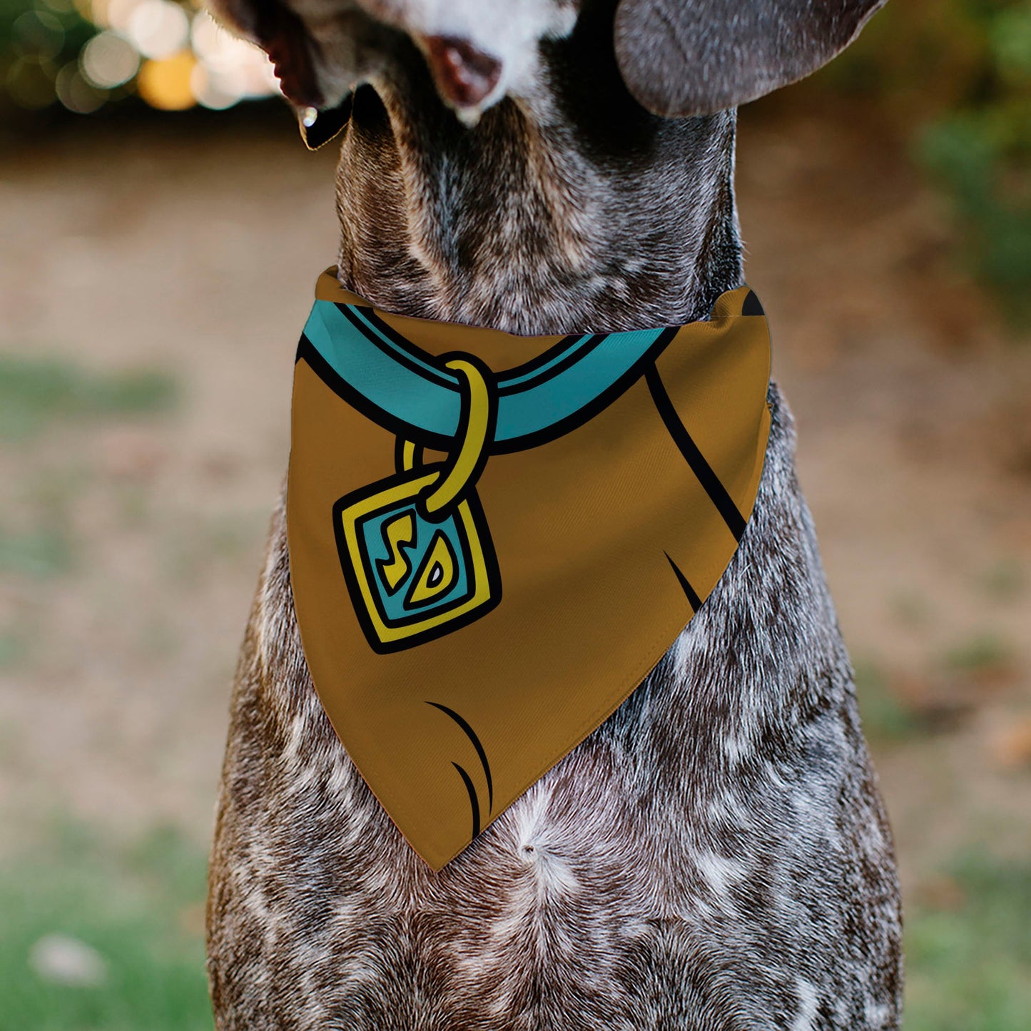 Detail of the durable polyester fabric and stitching on the Scooby-Doo pet accessory.