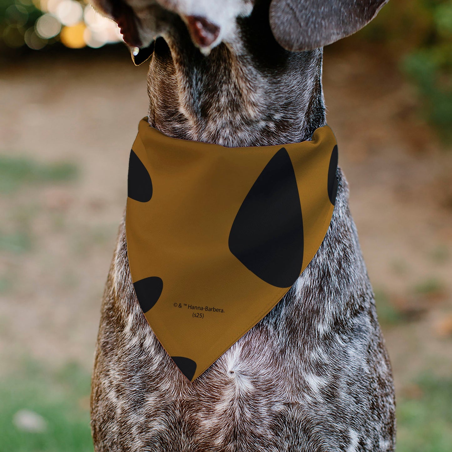 Back view of the Scooby-Doo character print pet bandana.
