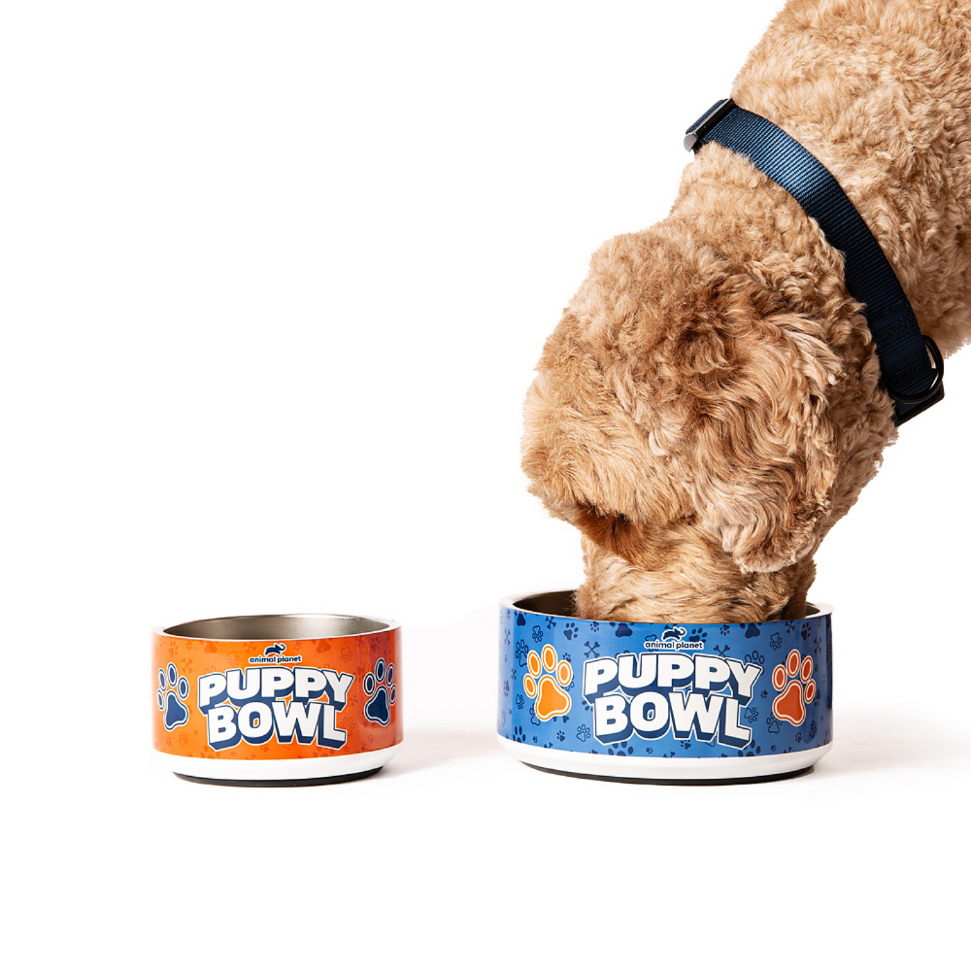 Animal Planet’s Puppy Bowl Pet Bowl
