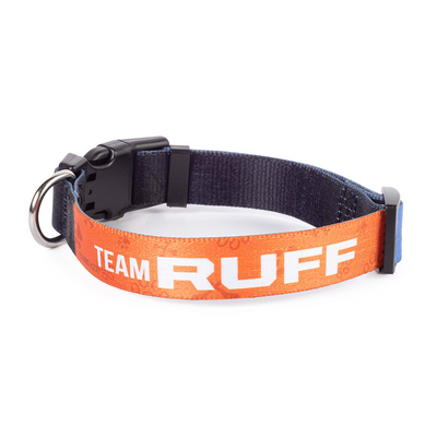 Animal Planet’s Puppy Bowl Team Ruff and Team Fluff Collar