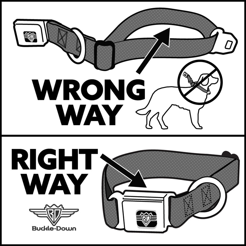 House of the Dragon Eye Seatbelt Buckle Dog Collar