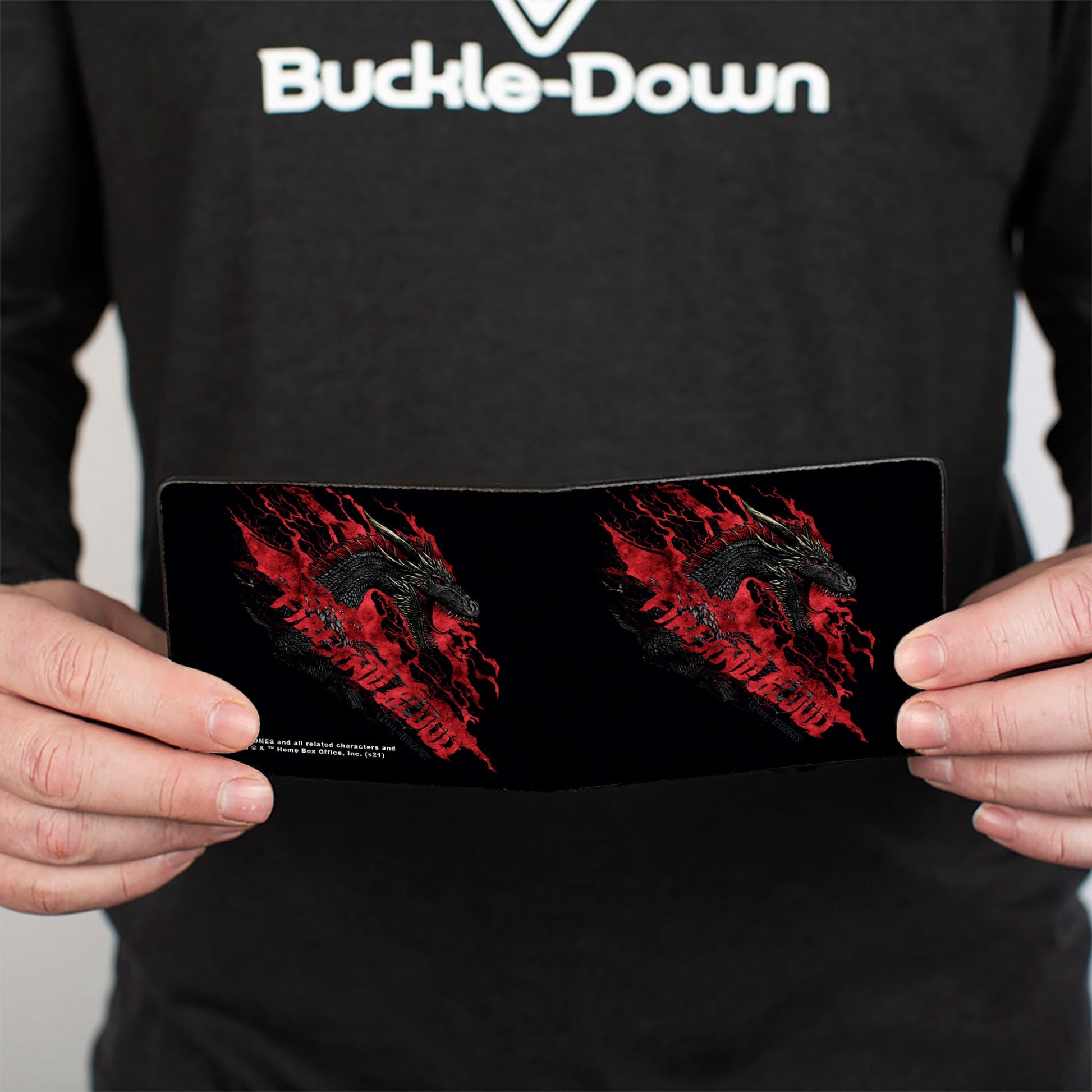 Close up of Fire and Blood text on red and grey background