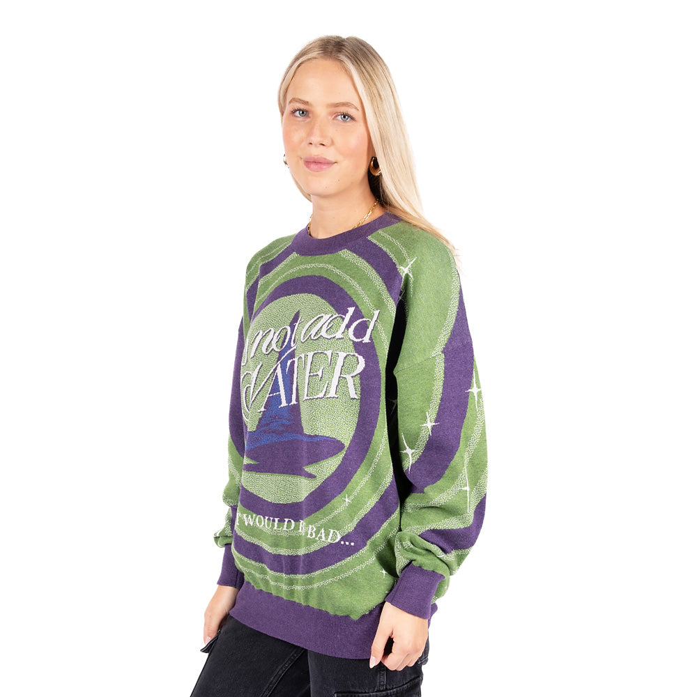 The Wizard of Oz Do Not Add Water Knit Sweater – WB Shop