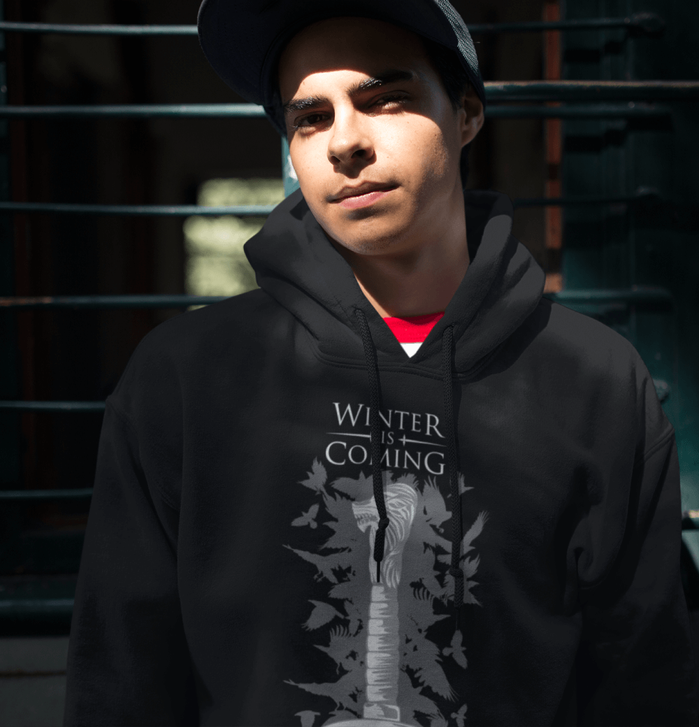 Winter is 2025 coming hoodie