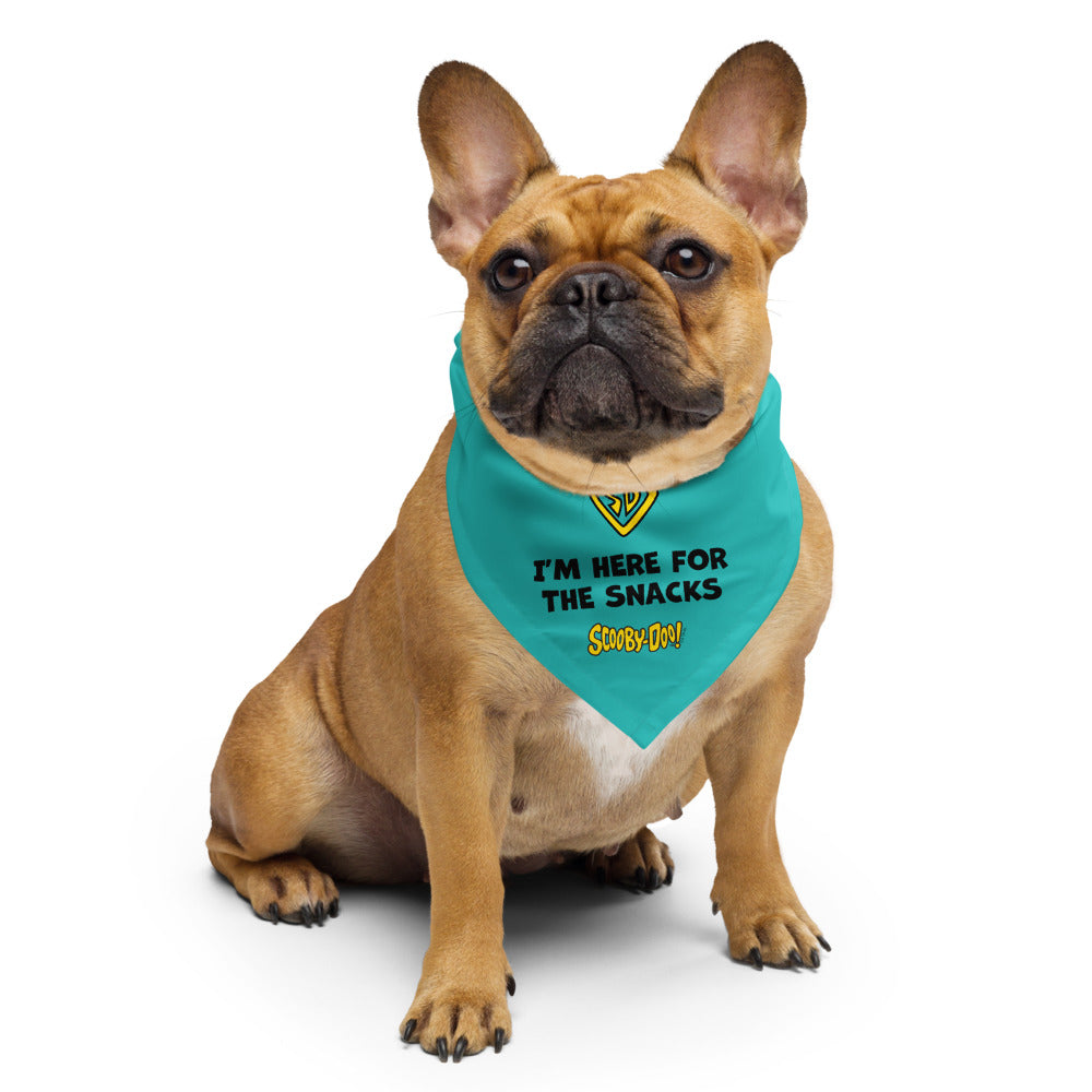 Scooby-Doo! I'm Here For The Snacks Pet Bandana