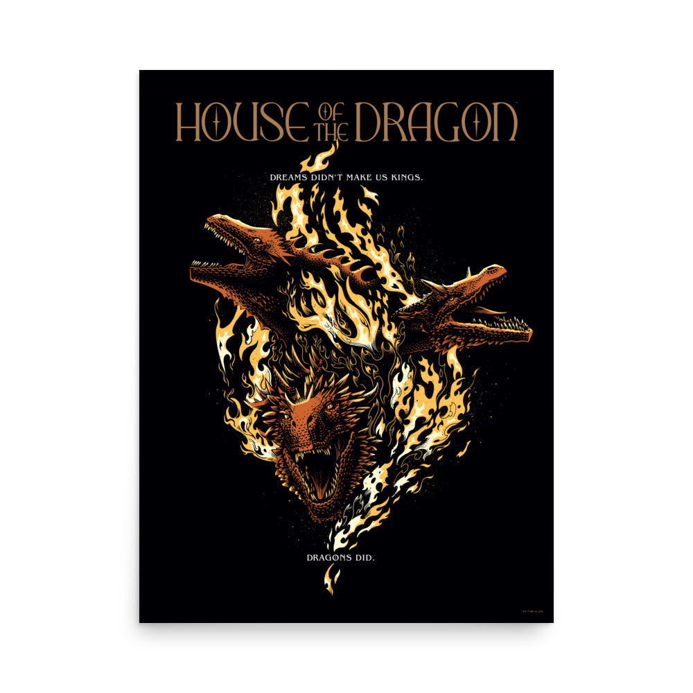 House of the Dragon Dreams Didn't Make Us Kings Premium Poster