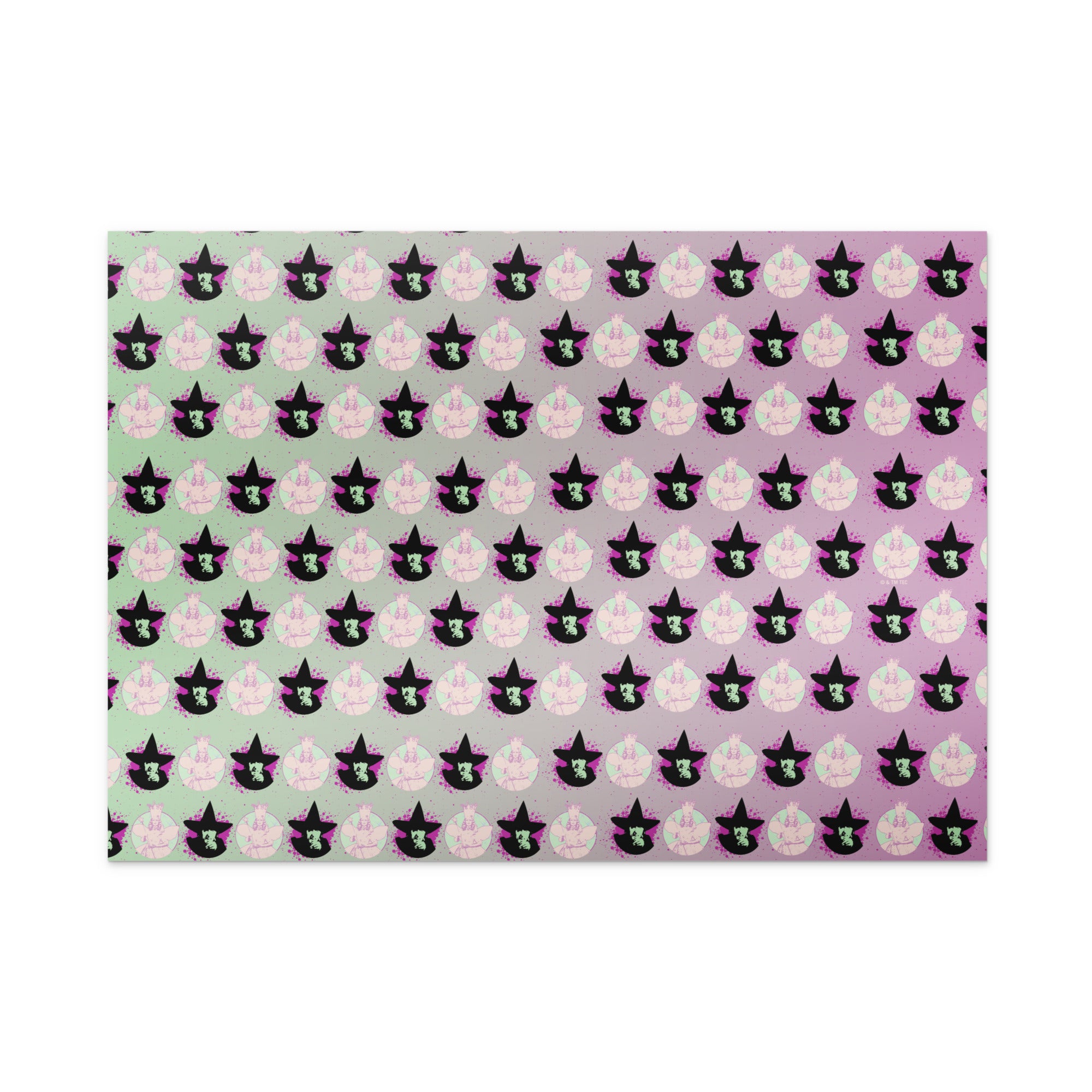 THE WIZARD OF OZ™ Gift Wrap Satin – WB Shop