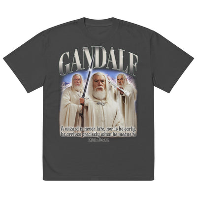 The Lord of the Rings Gandalf Oversized Faded T-shirt