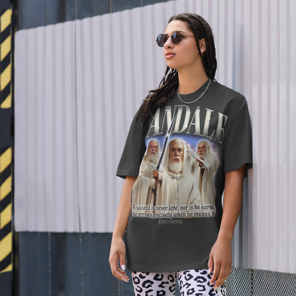 The Lord of the Rings Gandalf Oversized Faded T-shirt – WB Shop
