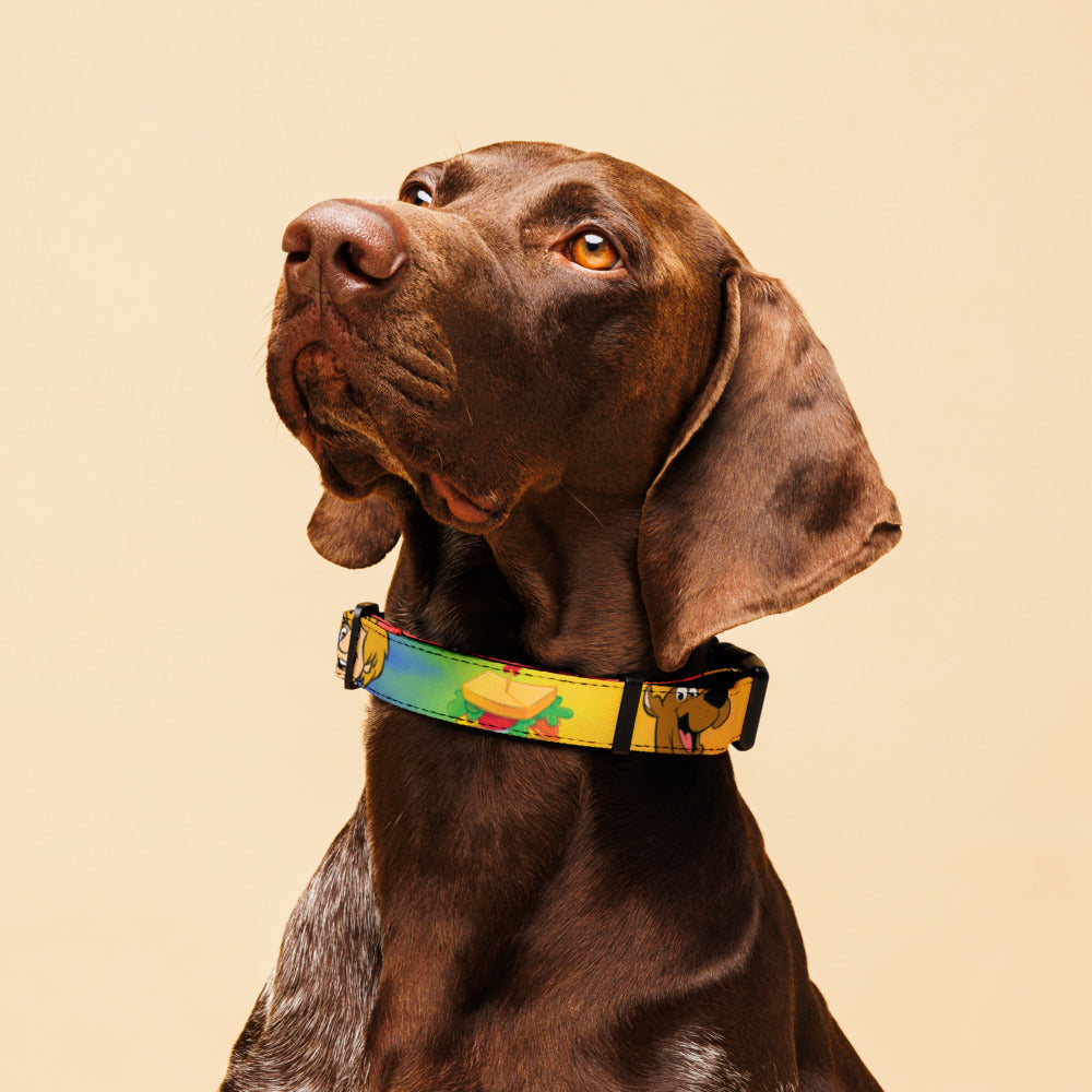 Scooby-Doo! Snacking Buddies Pet Collar