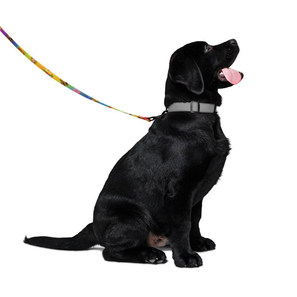 Scooby-Doo! Snacking Buddies Pet Leash