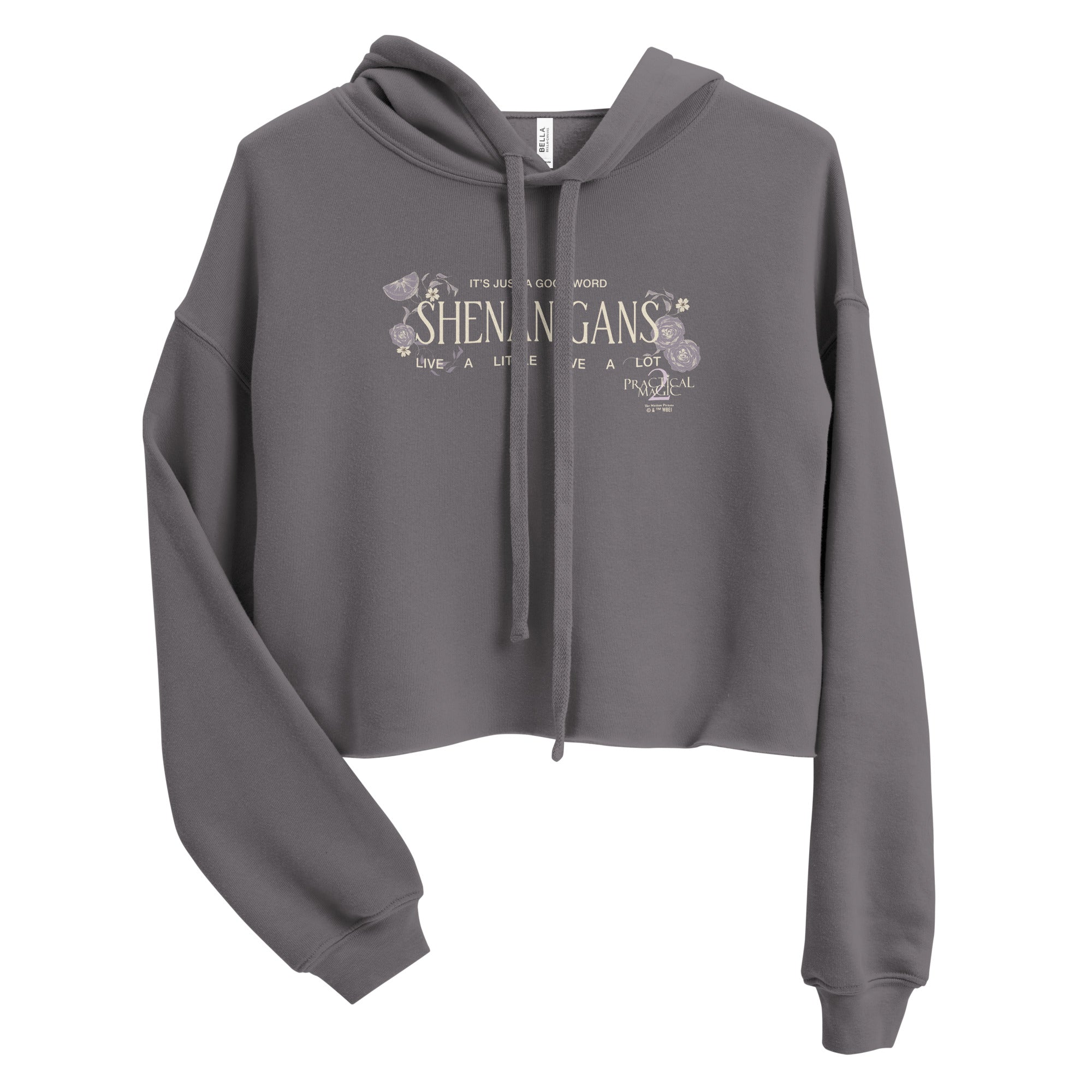 Practical Magic 2 Women's Cropped Hoodie Shenanigans – WB Shop