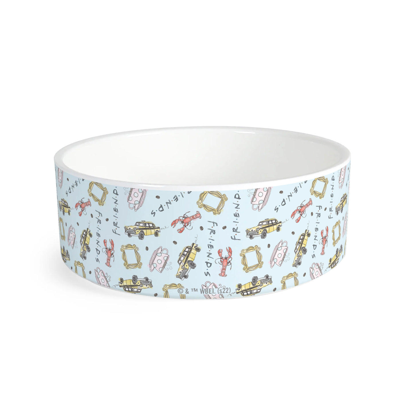 Friends Pattern Pet Bowl