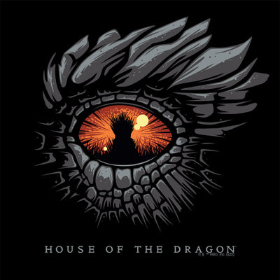 House of the Dragon Eye Raglan Shirt
