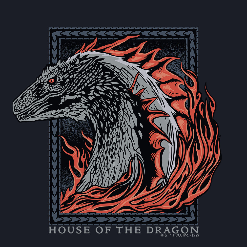 House of the Dragon Fire Dragon Women's Short Sleeve T-Shirt