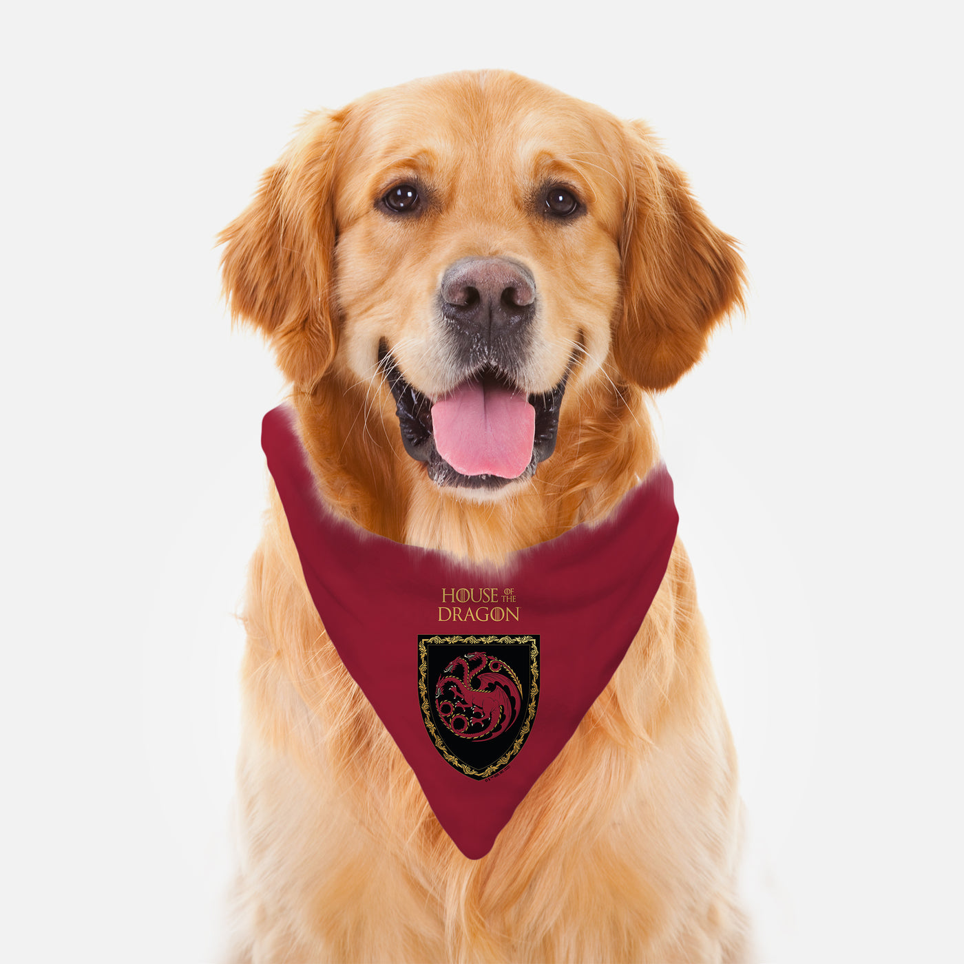 House of The Dragon House Targaryen Pet Bandana