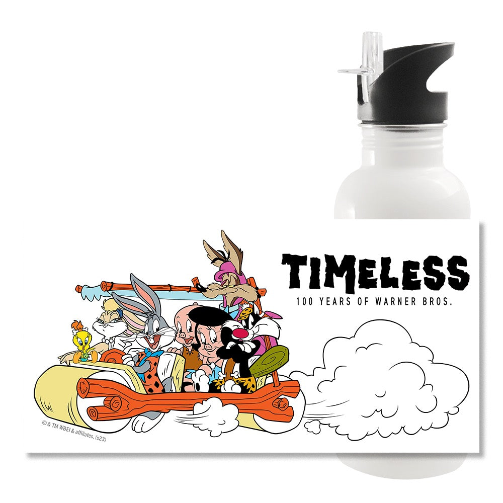 WB 100 Looney Tunes x The Flintstones Water Bottle