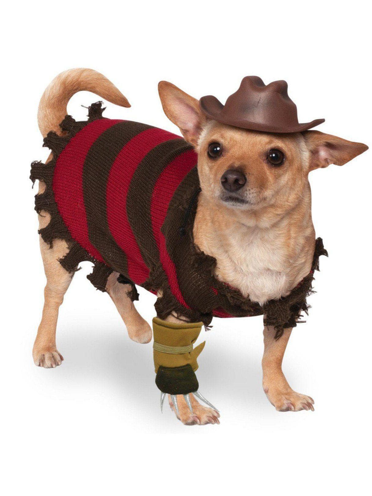 A Nightmare on Elm Street Pet Freddy Krueger Costume