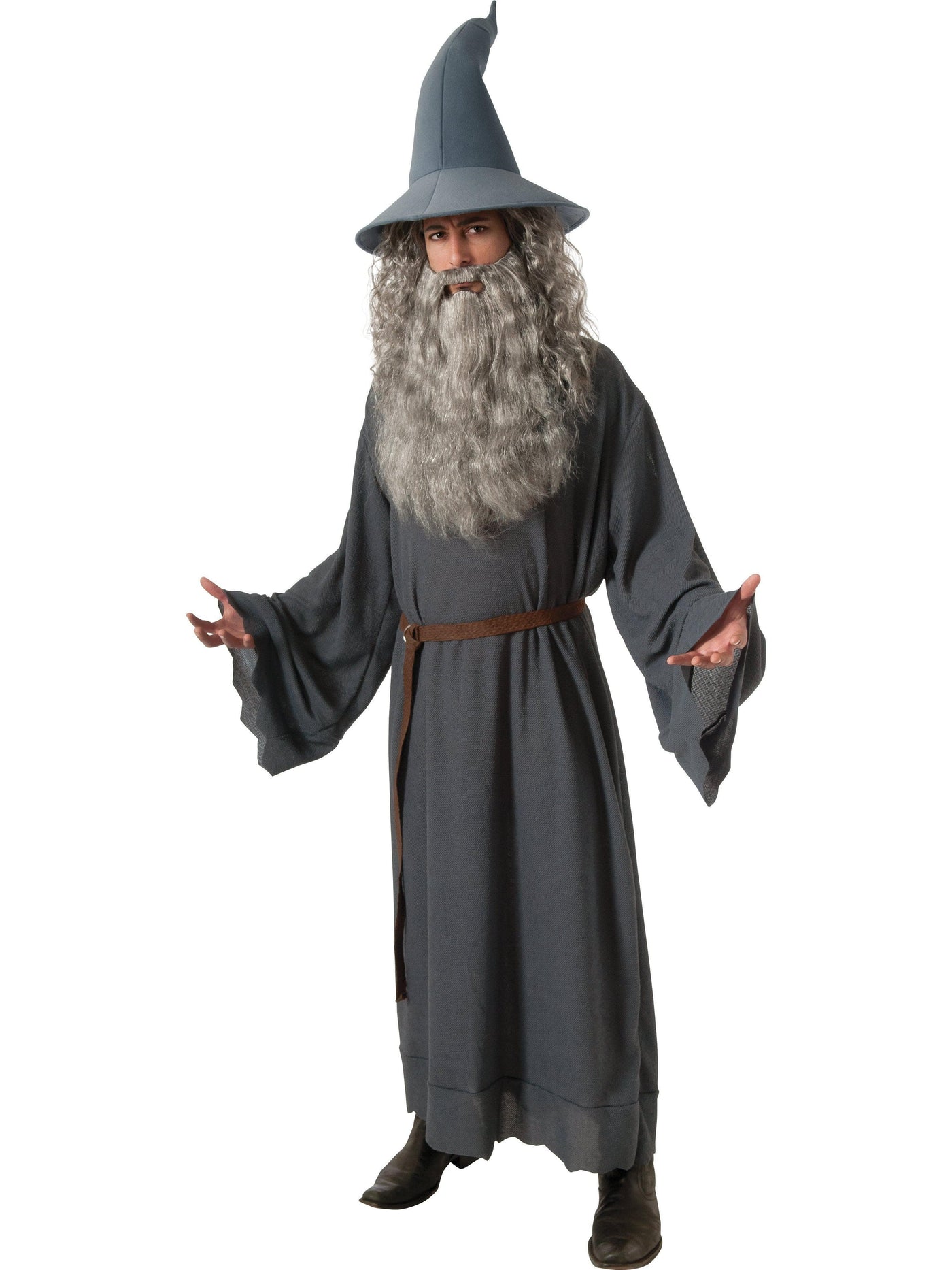 The Hobbit Men's Gandalf Costume