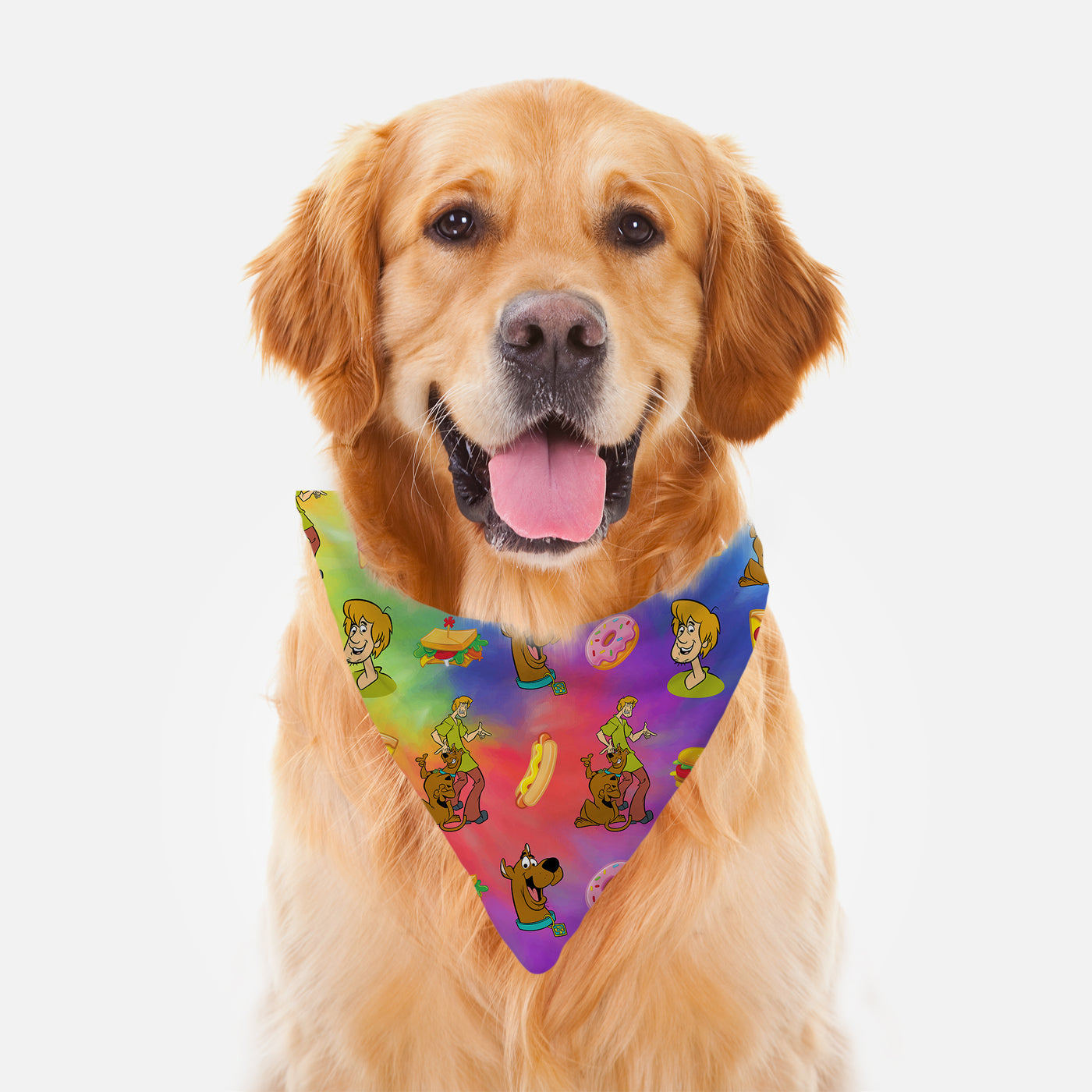 Scooby Doo Food Pattern Pet Bandana