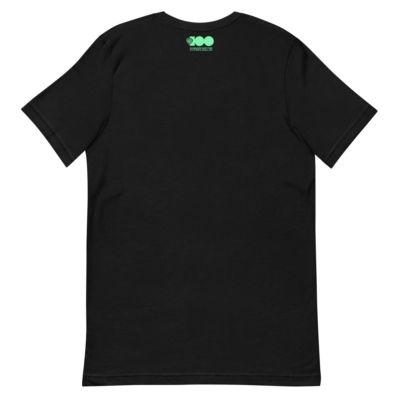 WB 100 ER Adult T-Shirt