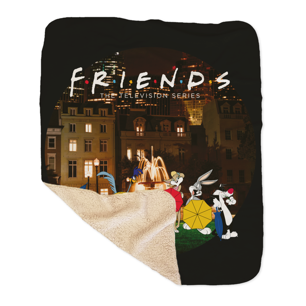WB 100 Looney Tunes x Friends Intro Scene Sherpa Blanket