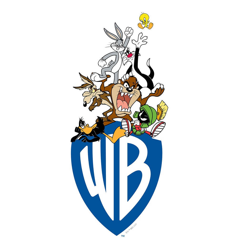 Exclusive WB 100 Warner Bros. Shield Looney Tunes Raglan Shirt – Warner ...